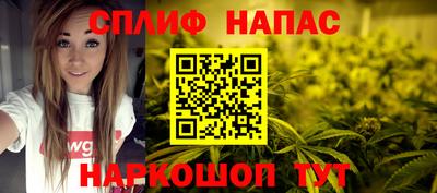 гашик Славгород