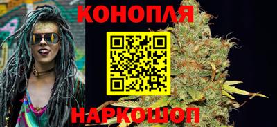гашик Славгород