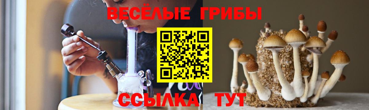 Меф Надым